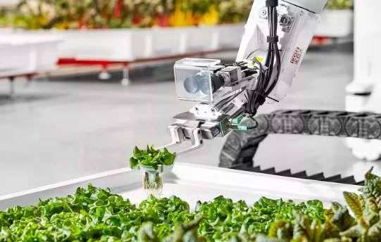 每个汽车行业都需要这么一枪